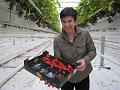 Elianny eerste veiling Fruitmasters Koningsplant john ard leon Vissers aardbeiplanten BV America (14)